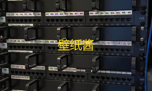 反作弊系统漏洞壁纸酱